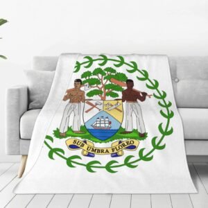 import placeholder for 10706