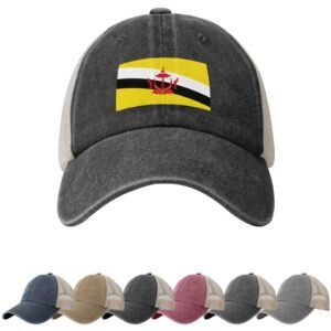 Zonnehoeden met de vlag van Brunei voor mannen en vrouwen, cowboypet met mesh-onderkant, Bruneise truckerpet.